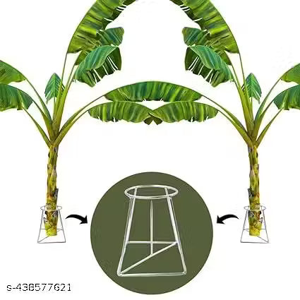 Banana stem stand (pack of 2)for pooja decoration, festuval use, pooja needs, festival decor