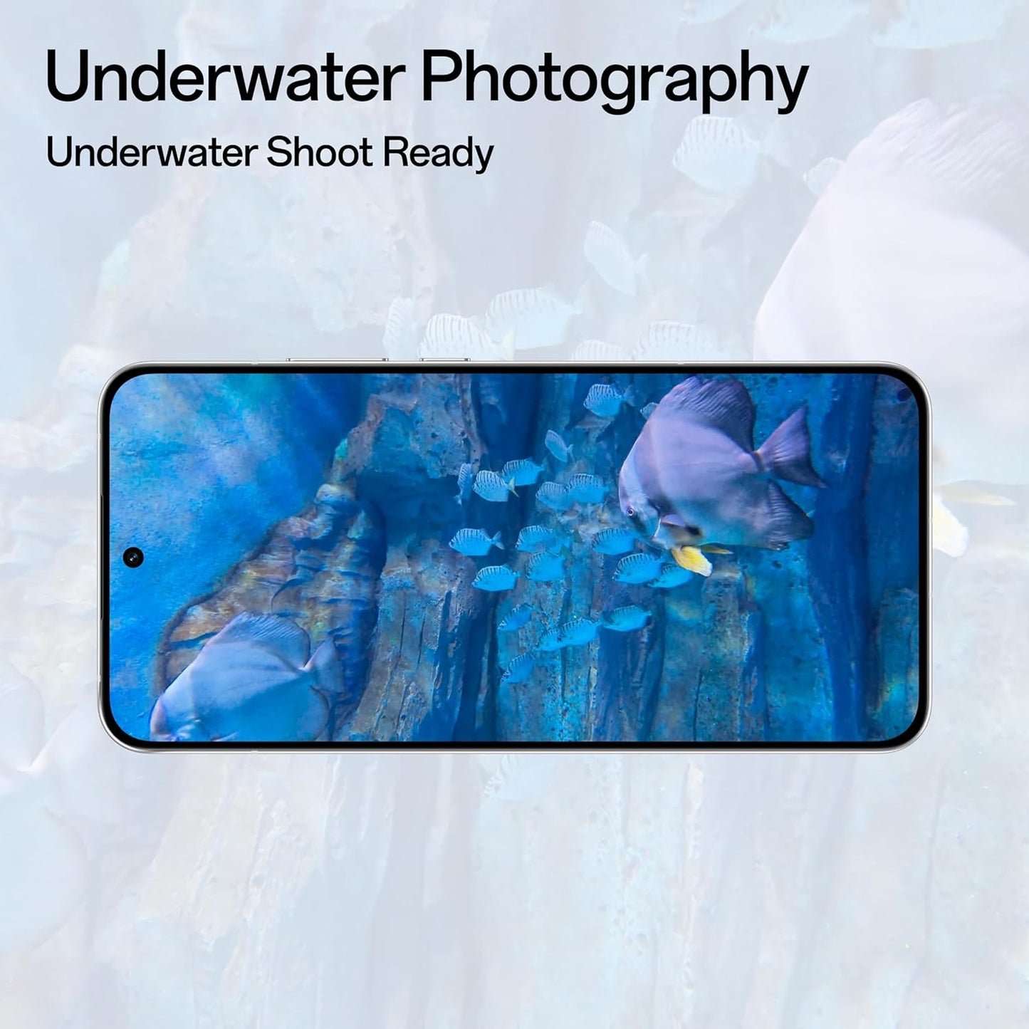 OPPO Reno14Pro 5G (Titanium Grey, 12GB RAM, 256GB Storage)
